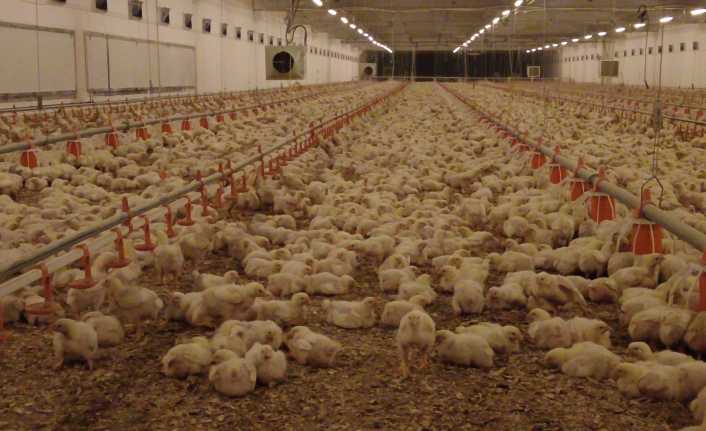 Et ve Süt Kurumunun tek kanatlı kesim kombinasının Erzincan’da olması