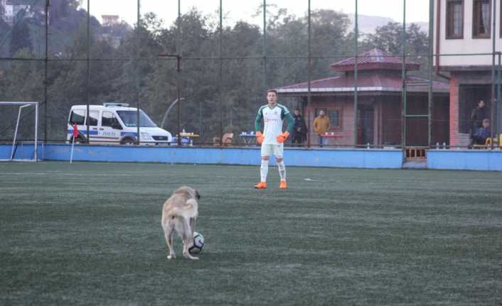 Rize’nin Güneysu İlçe Stadında oynanan Elit U19 Ligi maçında sahaya