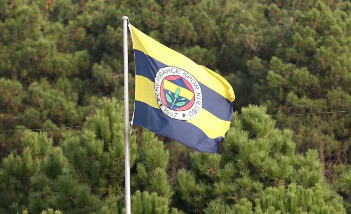 Fenerbahçe Sportif Direktörü Damien Comolli, Hollandalı çalıştırıcı Erwin Koeman’a güvendiklerini,