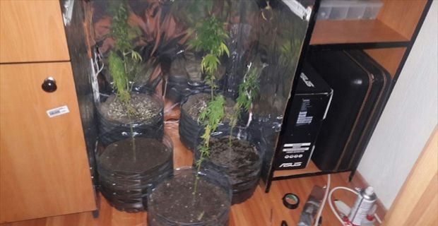 Erzincan merkezli 15 ilde, örgütün kripto yapılanmasına yönelik operasyonda yakalanan