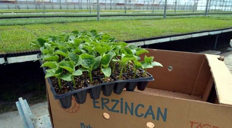 Korona virüs ile mücadelede gıda üretiminin önemi bir kez daha