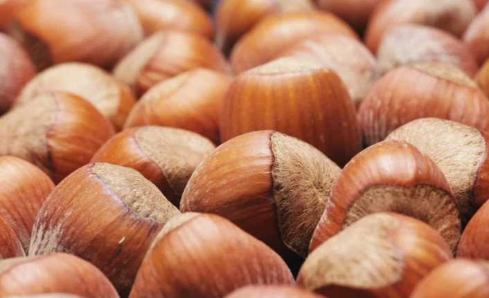 Fındık üretiminin yüzde 75’ini, ihracatının da yüzde 70’ini elinde bulunduran