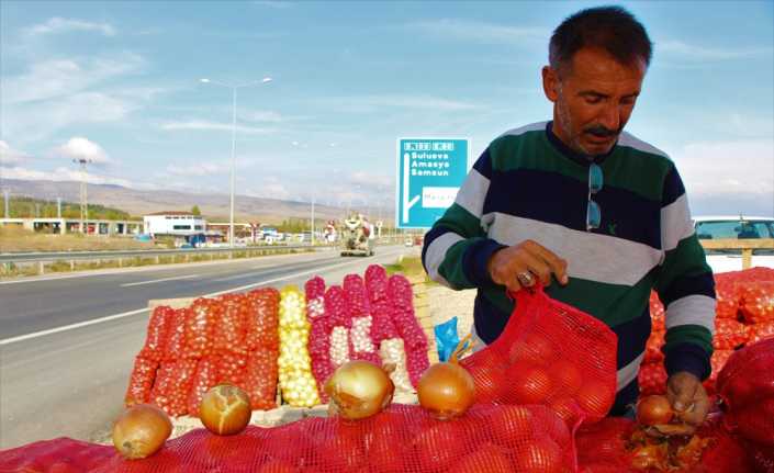 Yazın Türkiye’de pazar ve