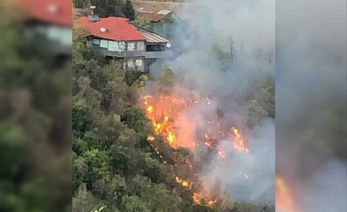 Erzincan'ın Kemaliye ilçesinde Ariki Mahallesinde çıkan yangın kontrol atına alınırken