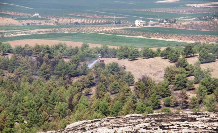 Göbeklitepe’nin altındaki ormanlık alanda çıkan ve çok sayıda itfaiye ekiplerinin