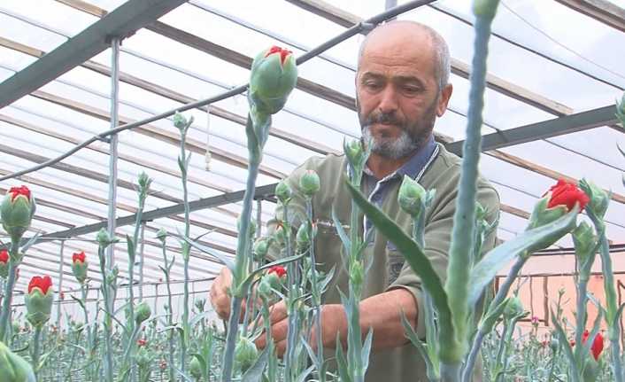 Türkiye’nin kesme çiçek üretimininde ilk sıralarda yer alan İzmir’in Menderes