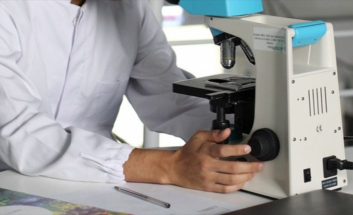 Aplysia olarak adlandırılan deniz salyangozları üzerinde yapılan çalışmada hafıza, RNA