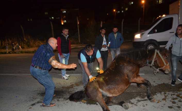 Bursa’nın İnegöl ilçesinde hamile