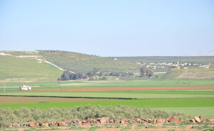 Zeytin Dalı Harekatı kapsamında terörden arındırılan Afrin’e insani yardımların kolaylaştırılması