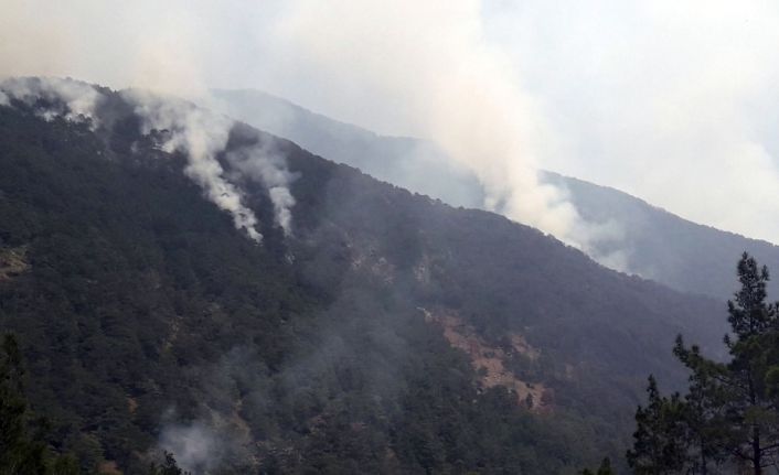 Hatay’ın Arsuz ilçesinde dün öğle saatlerinde çıkan orman yangını halen