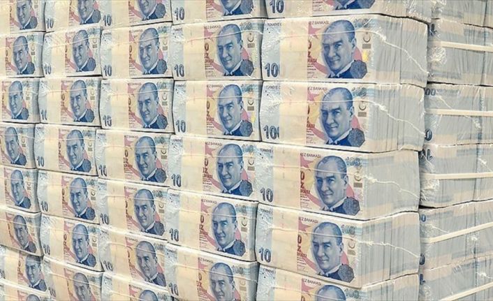"Torba yasa" ile Tek Hazine Hesabı'nın kapsamı genişletilirken, Hazine başta