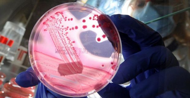 Nutrigenetik ve Kişiye Özel Tıp Derneği Başkanı Dr. Savaş, "Genlerden