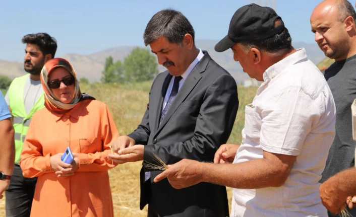 Erzincan Belediyesi’ne ait hububat tarlalarında Biçerdöver ile hasat işlemleri başladı.