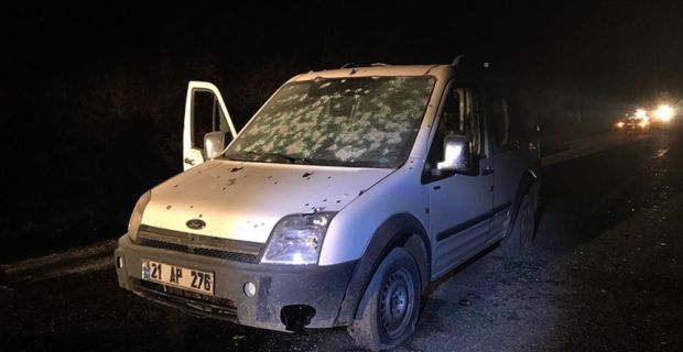 Diyarbakır'ın Lice ilçesinde düzenlenen operasyonda etkisiz hale getirilen, biri mavi