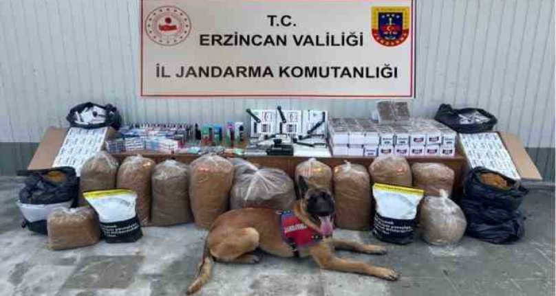 Erzincan İl Jandarma Komutanlığı ekiplerince, 2023 Mart ayı içerisinde kaçakçılık