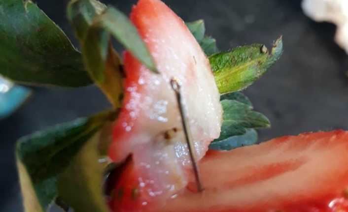 Avustralya’da çileklerde bulunan dikiş iğneleriyle ilgili yürütülen soruşturmada çiftlik müdiresi