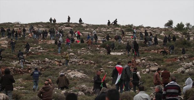  İsrail askerlerinin, Batı Şeria'nın Nablus kentindeki bir araziye zeytin