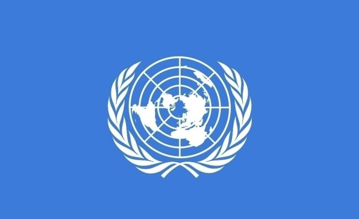Birleşmiş Milletler İnsani Yardım
