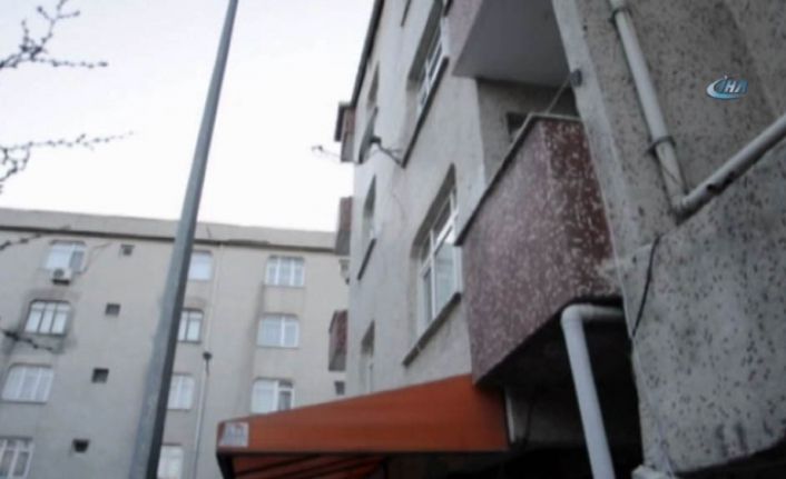 İstanbul Sultangazi’de sabaha karşı bir eve giren hırsız, uyuyan kadının