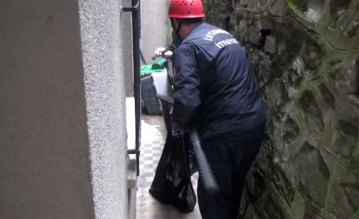 İstanbul Beyoğlu’nda iki binanın arasında bulunan boşluğa düşen kedi, itfaiye