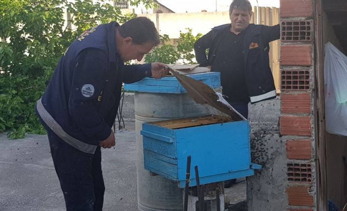 Adıyaman’da kovanından ayrılarak apartmanın bacasında oğul yapan arıları itfaiye eri