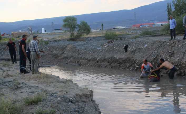 İtfaiyeden at operasyonu Erzincan’ın Aydoğdu köyünde sulama kanalına düşen at itfaiye ekipleri tarafından