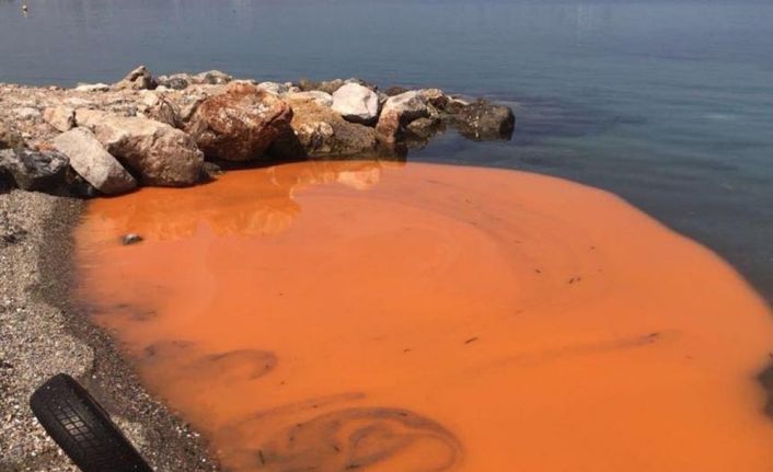 İzmir’de turuncu renge bezenen deniz kıyısı, paniğe neden oldu.
