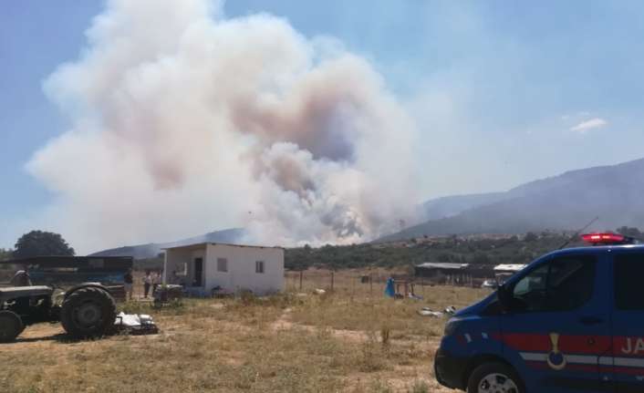 İzmir’in Bayındır ilçesinde orman yangını çıktı. 