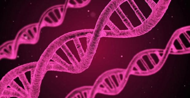 Çinli bilim adamları, kanser tedavisinde dönüm noktası olabilecek DNA nanorobotlorı