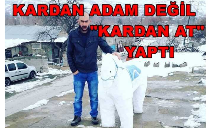 Geçtiğimiz hafta Erzincan ve çevresinde etkili olan kar yağışı insanların