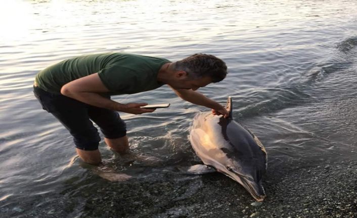 Son dönemde Sinop’tan Sarp’a kadar olan Karadeniz sahil şeridi boyunca
