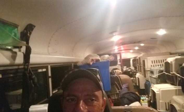 ABD’de kamyon şoförü Tony Aslup, Florence Kasırgasından etkilenen 64 kedi