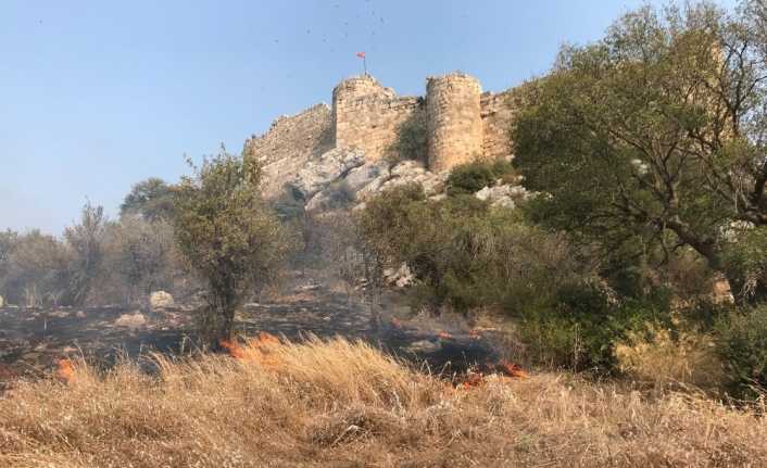 Osmaniye’de bulunan Kastabala Antik Kenti’nde çıkan orman yangını, Orman İşletme