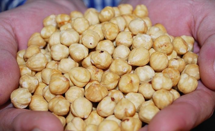 Giresun Üniversitesinde yapılan araştırmada, işlenmiş gıdalarda sıkça rastlanan ve karsinojenik