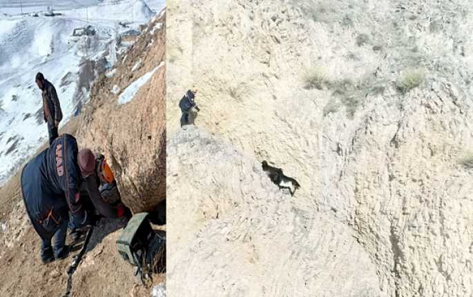 Erzincan’ın Tercan İlçesine bağlı Beğendik köyünde kayalıklarda mahsur kalan 4
