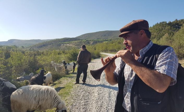 Samsun’un Vezirköprü ilçesinde bir