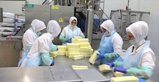Balıkesir'in Gönen ilçesinde kurulu 61 yıllık bir süt ürünleri firması,