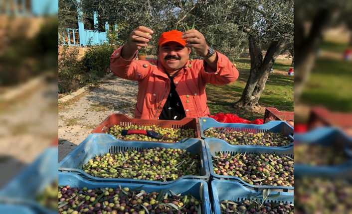 Çanakkale’nin Bozcaada ilçesinde hem tatil yapan hem de kendi yetiştirdiği