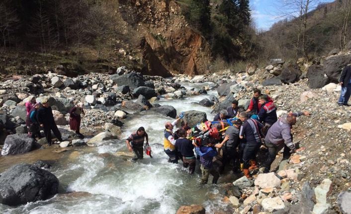 Rize’de meydana gelen olayda kestikleri ağacın altında kalan amca ile