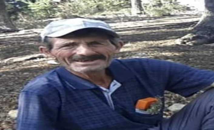 Balıkesir’in Savaştepe ilçesinde hayvan otlatma meselesi yüzünden kız kardeşi ağabeyini
