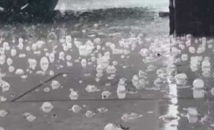 Kuzey Kıbrıs Türk Cumhuriyeti’nde (KKTC) öğleden sonra aniden bastıran dolu