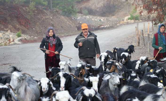 Anadolu’daki bin yıllık konargöçer yaşam tarzını sürdüren Sarıkeçililer, Konya ve