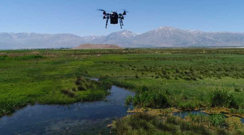 Erzincan’da birçok kuş ve bitki türünü barındıran Doğa Koruma ve
