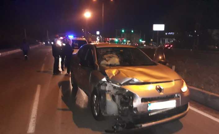 Balıkesir’in Burhaniye ilçesinde kış için ormanlık alandan çam kozalakları toplayan