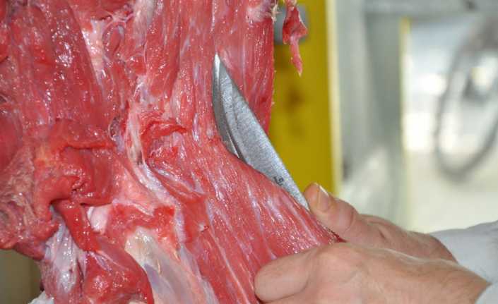 Manisa Esnaf ve Sanatkarlar Odası Kasaplar Temsilcisi Rıdvan Keçeci, kurban