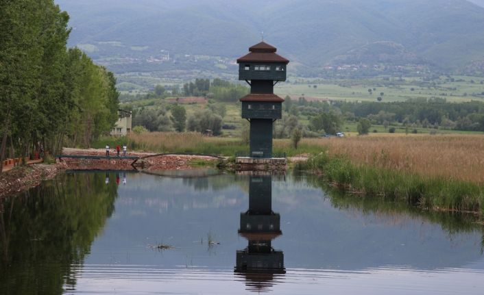 Toka’ta Kaz Gölü Yaban Hayatı Geliştirme Sahası Kuş Cenneti doğa