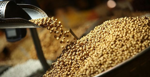 DTB Yönetim Kurulu Başkanı Tefenlili, leblebi sektörünün ihtiyacını karşılamak amacıyla