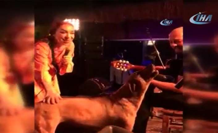 Bodrum’da sahne alan Leman Sam, köpek sürprizi yaşadı. Sam, köpeğe