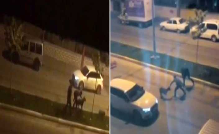 Batman’da iki şahıs, yolda karşılaştıkları sokak köpeklerini kemerle dövdü. Hayvanlara