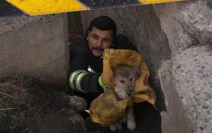 Erzincan'da Vasgirt Deresi üzerinde